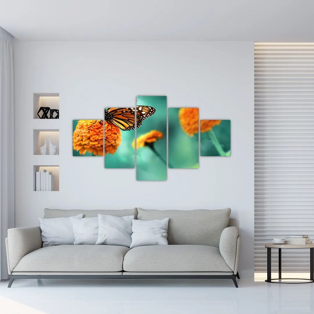 Obraz motyla (125x70 cm)