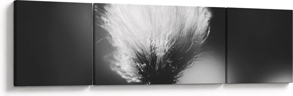 Obraz - Czarno-biała trawa bawełniana (170x50 cm)