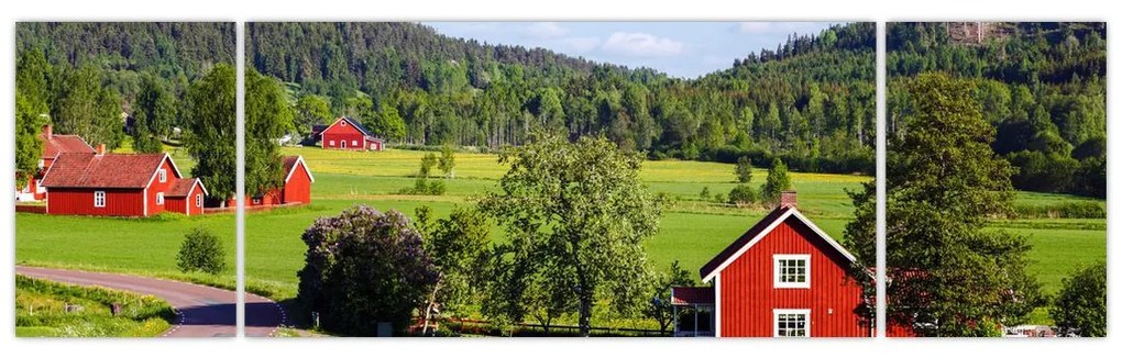 Obraz wsi (170x50 cm)