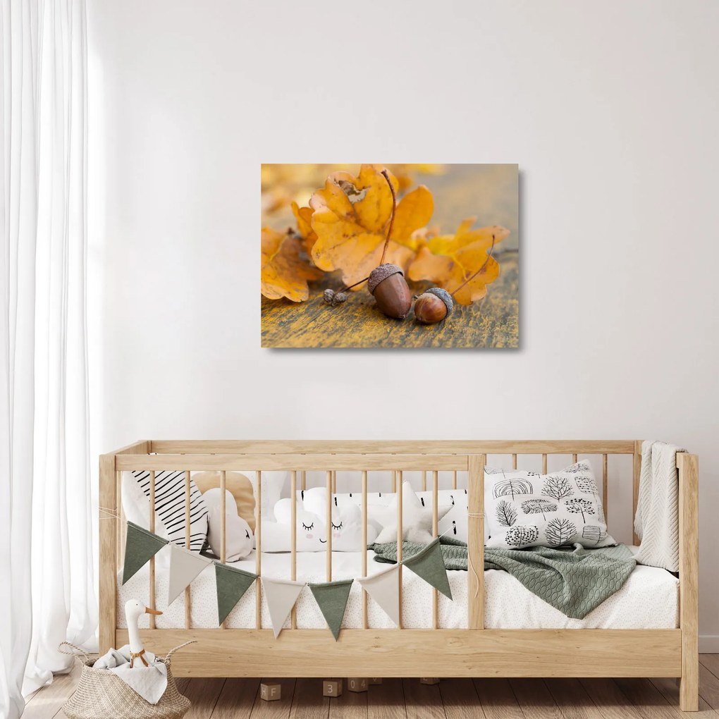 Obraz na szkle - Jesienne żołędzie (70x50 cm)