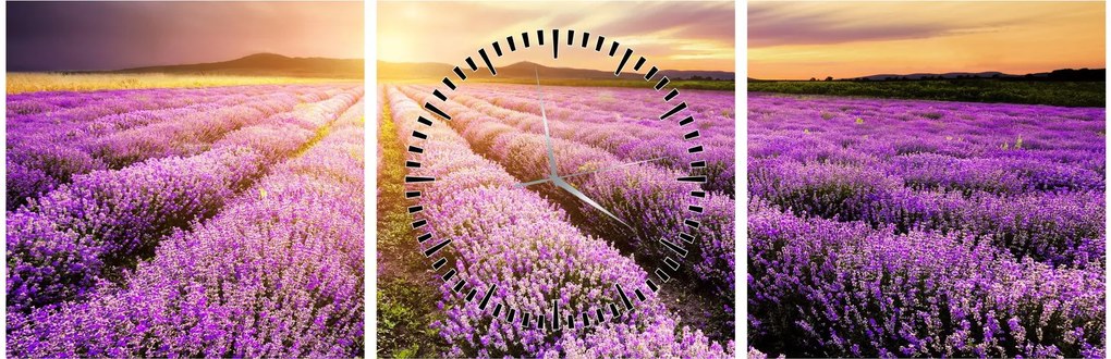 Obraz - Wschód słońca na polu lawendy (z zegarem) (90x30 cm)