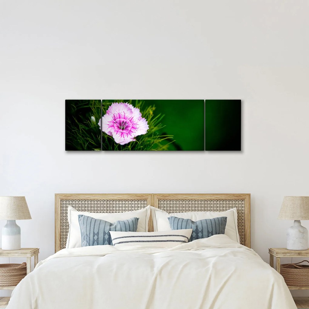 Obraz kwiatu róży (170x50 cm)
