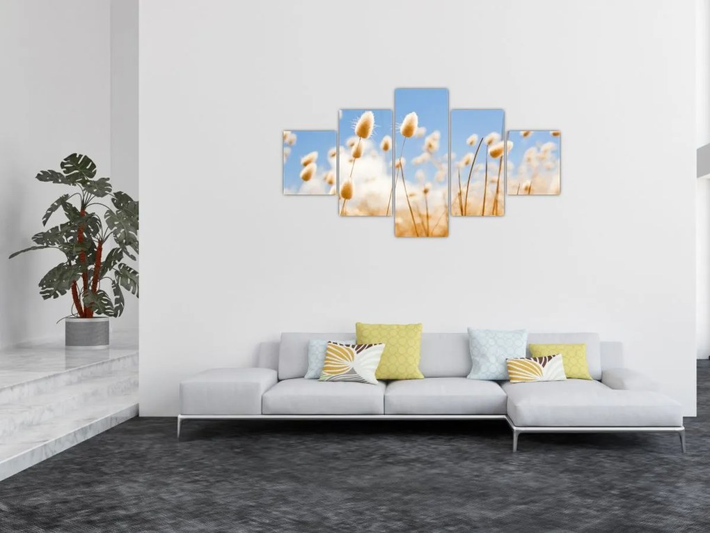 Obraz - Złote pole (125x70 cm)