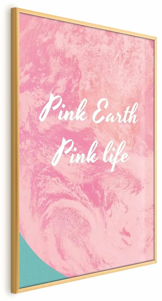Plakat Pink Earth 40x60 cm z ramą złotą bez marginesu ARTGEIST B