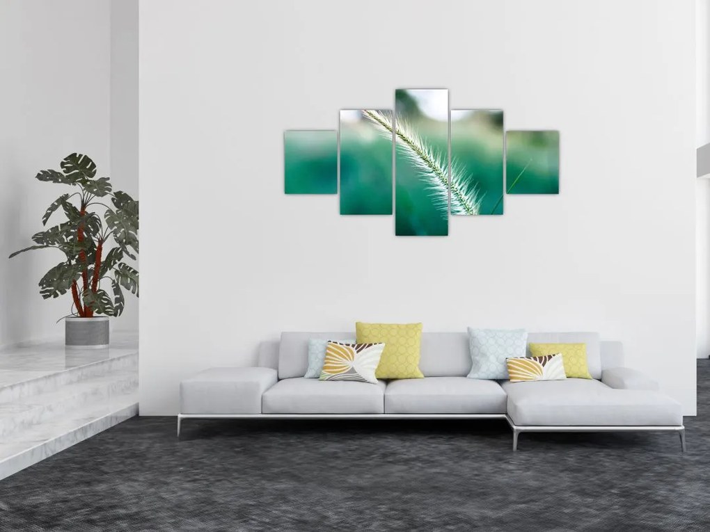 Obraz źdźbła trawy (125x70 cm)