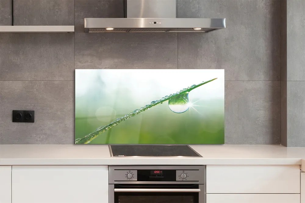 Szklany Panel Kropla trawa makro