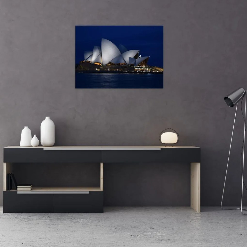 Obraz Sydney w nocy (70x50 cm)