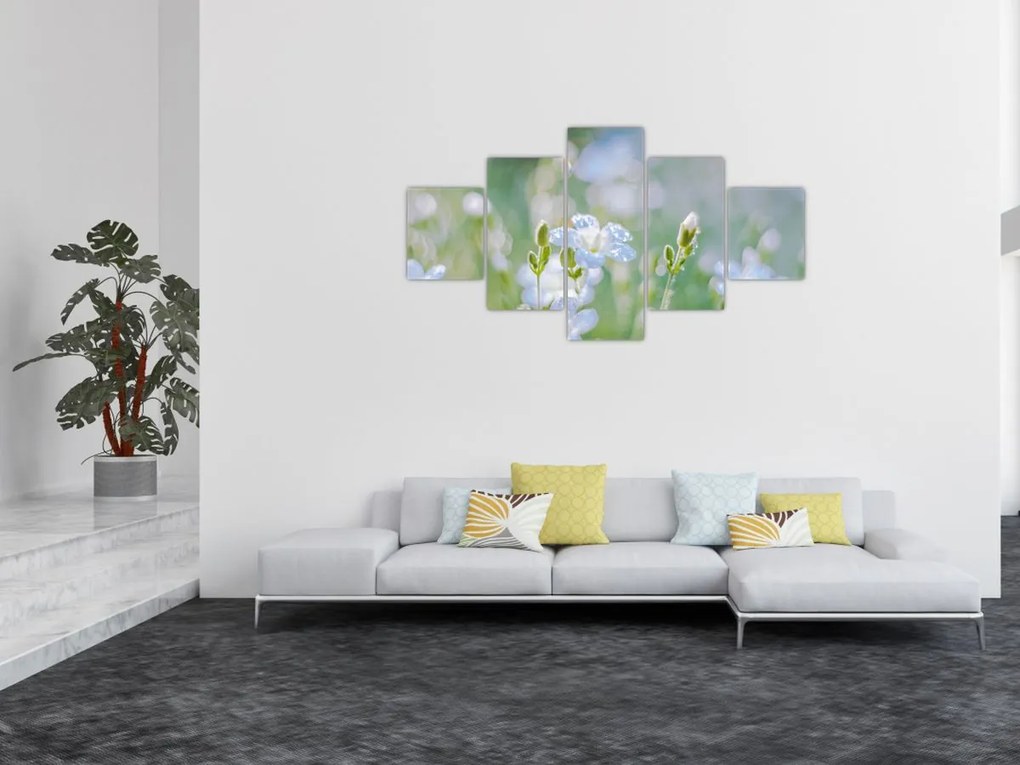 Obraz - Delikatne kwiaty (125x70 cm)