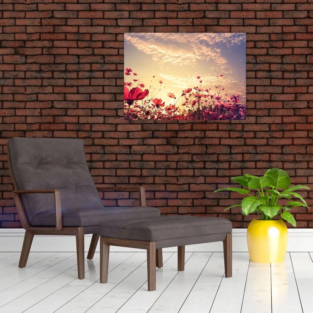 Obraz na szkle - Łąka z kwiatami (70x50 cm)