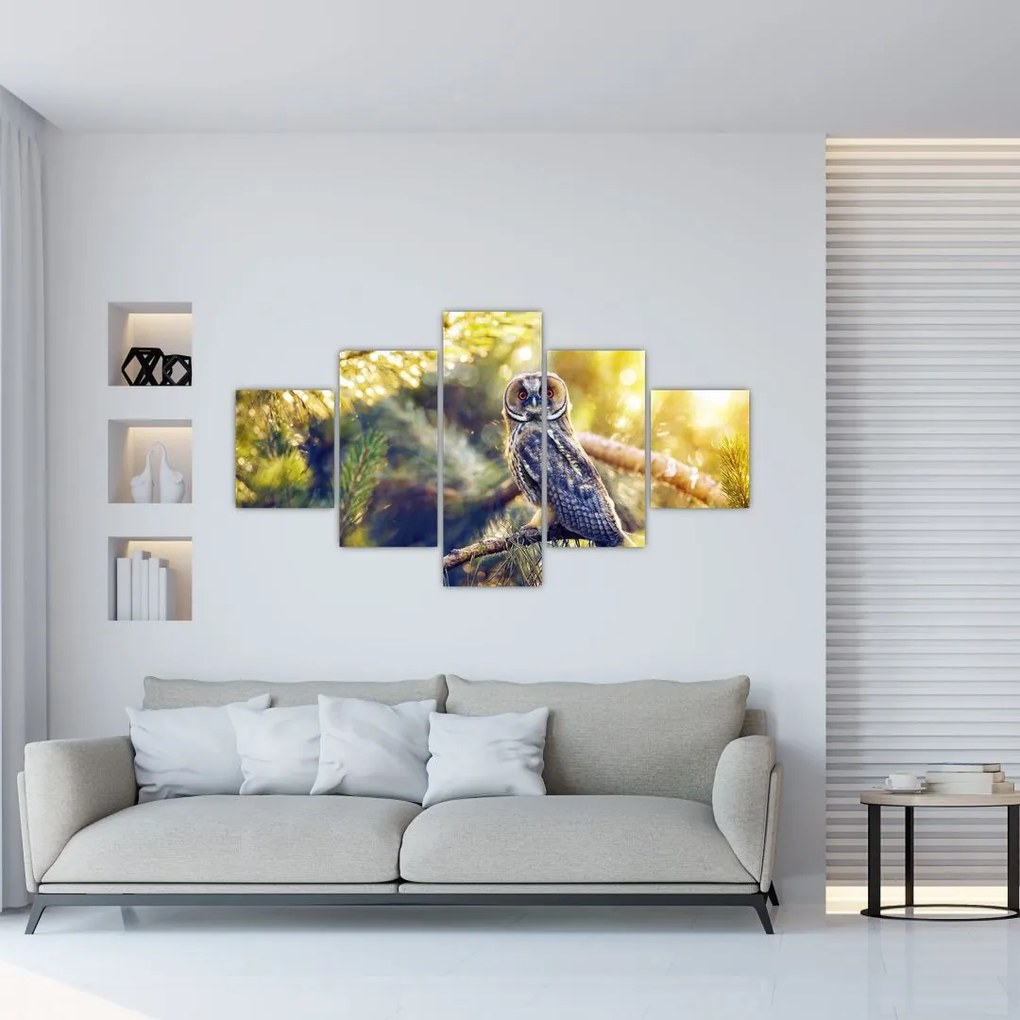 Obraz sowy na drzewie (125x70 cm)