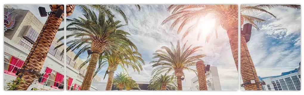 Obraz - palmy z basenem (170x50 cm)