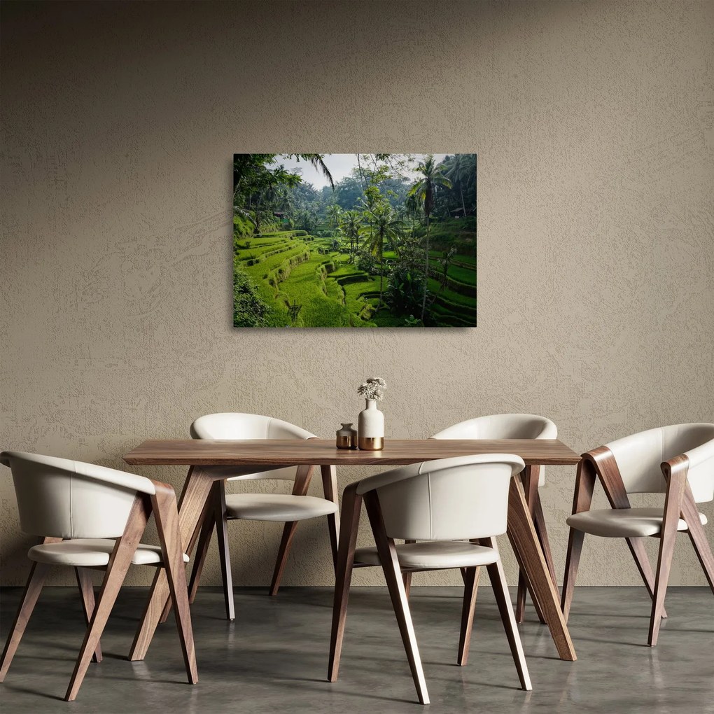 Obraz na szkle tarasów ryżowych Tegalalang, Bali (70x50 cm)