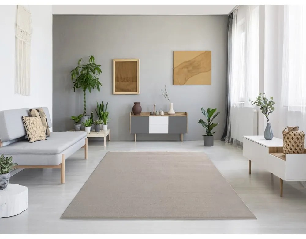 Szary/beżowy dywan 80x150 cm – Universal
