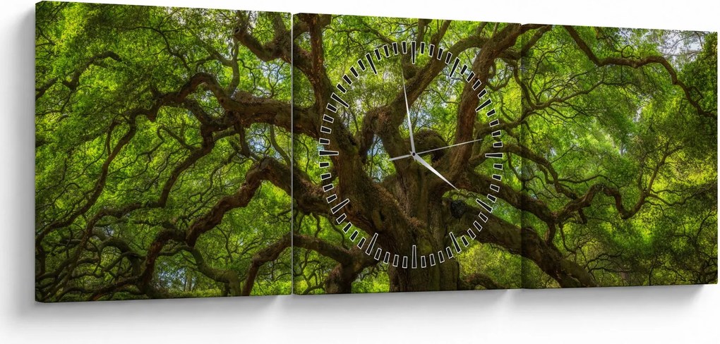 Obraz - Zielone drzewo (z zegarem) (90x30 cm)