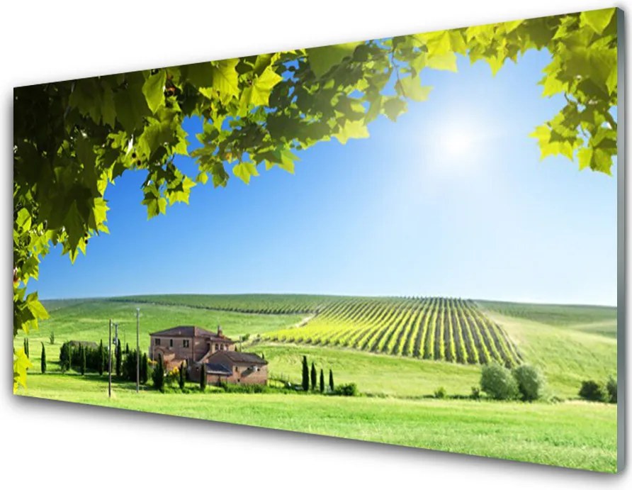 Panel Szklany Jesienne Pole pełne Liści