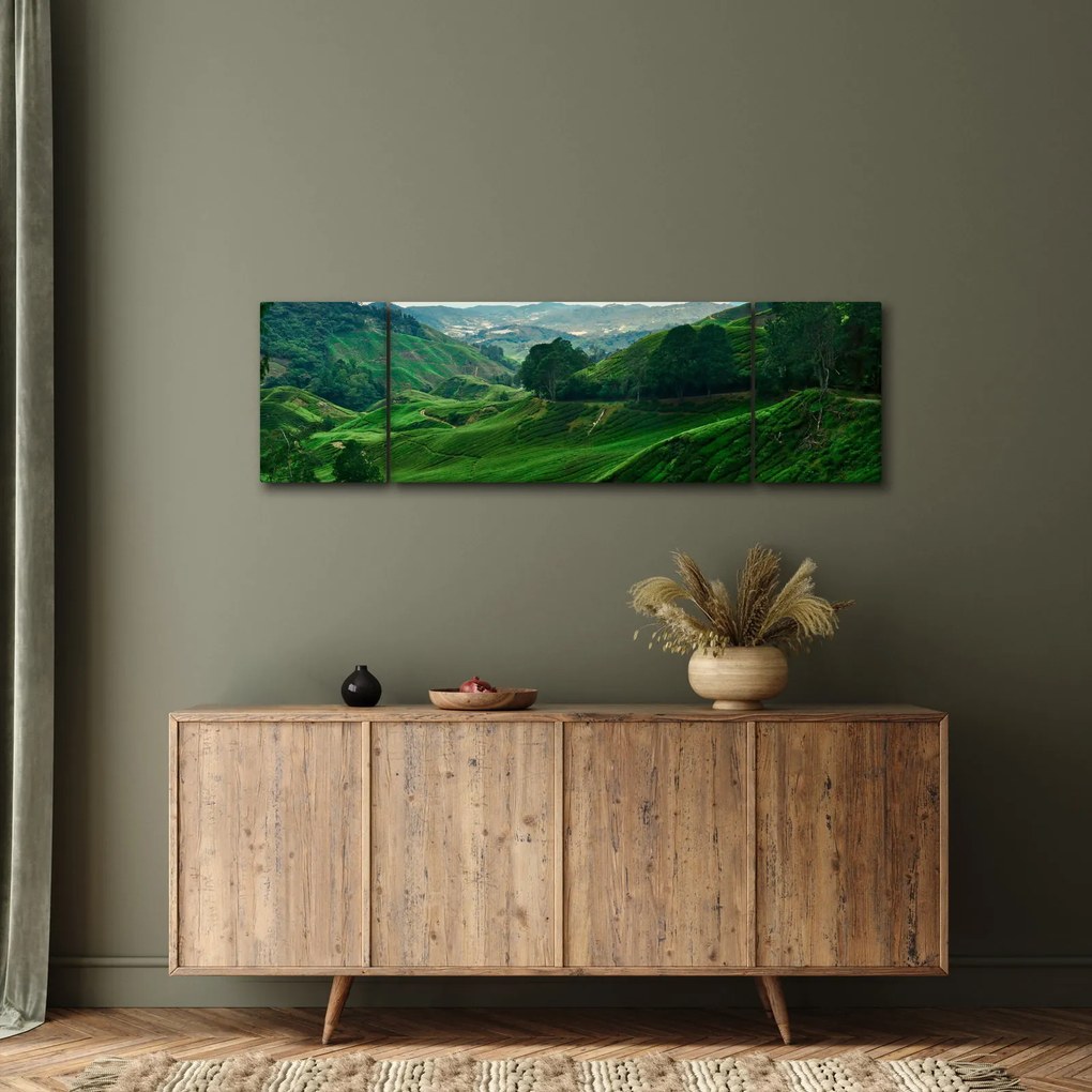 Obraz - Plantacje herbaty w Malezji (170x50 cm)