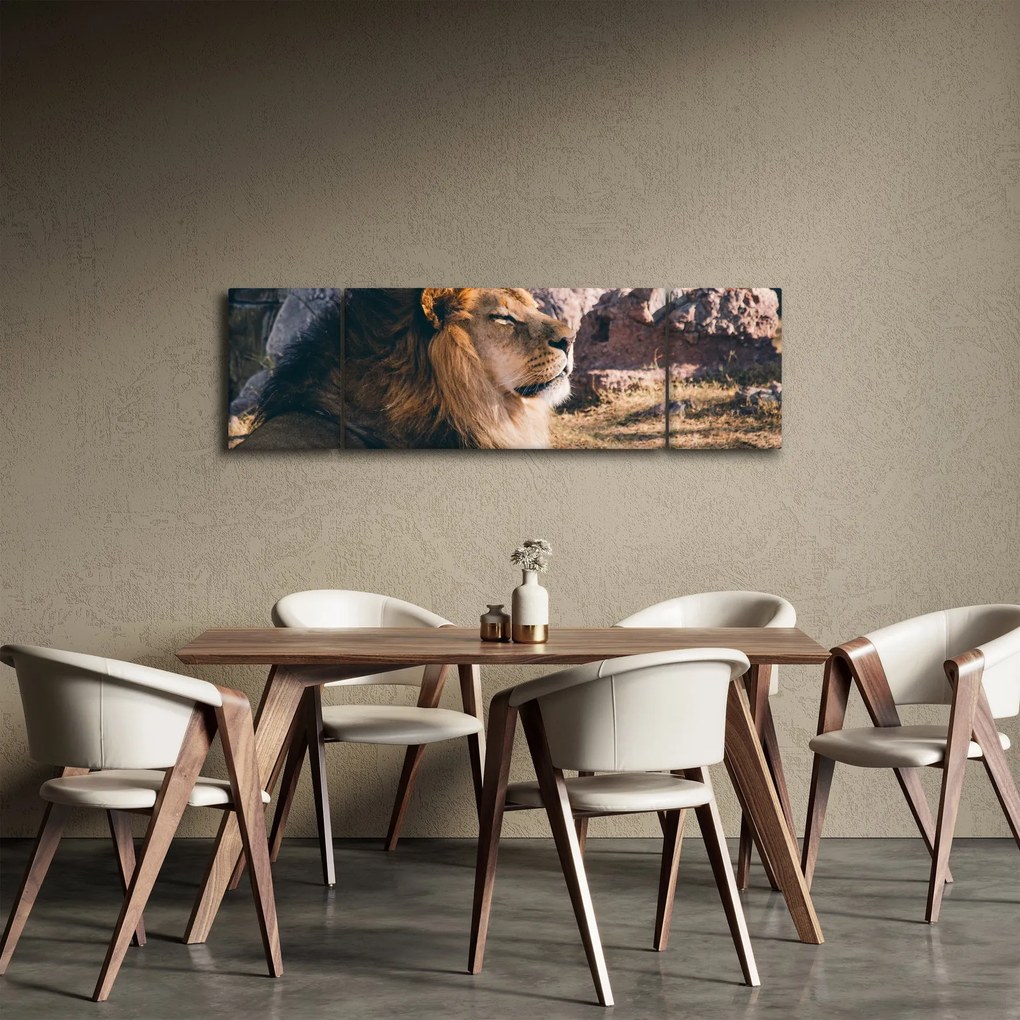 Obraz leżącego lwa (170x50 cm)
