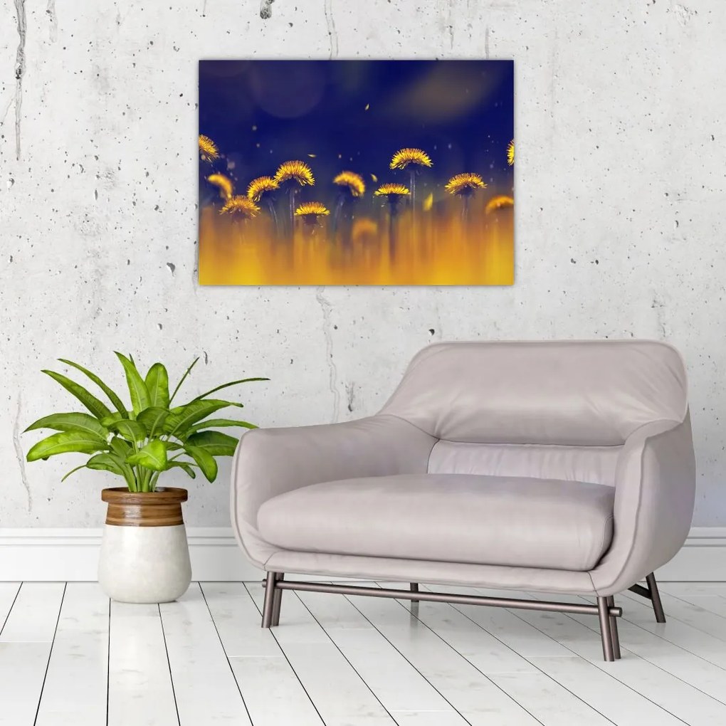 Obraz - Dmuchawce (70x50 cm)