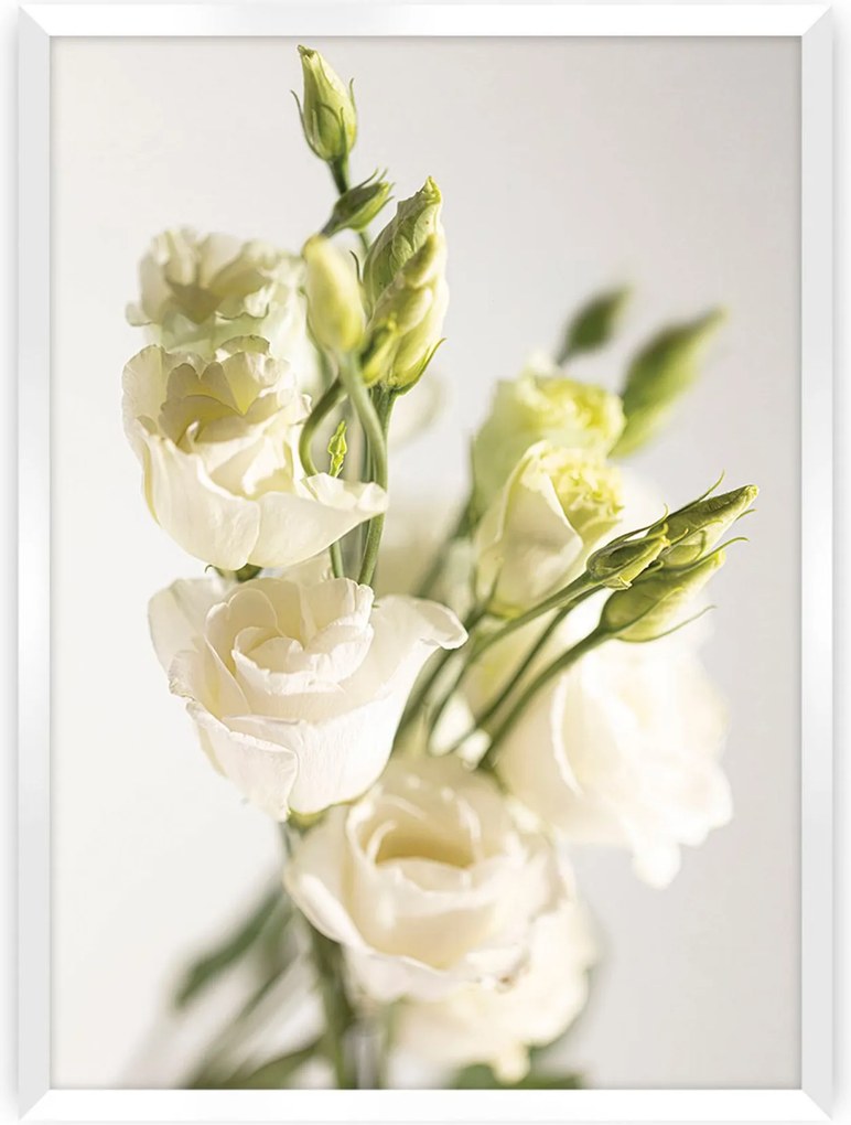 Plakat Elegant Flowers