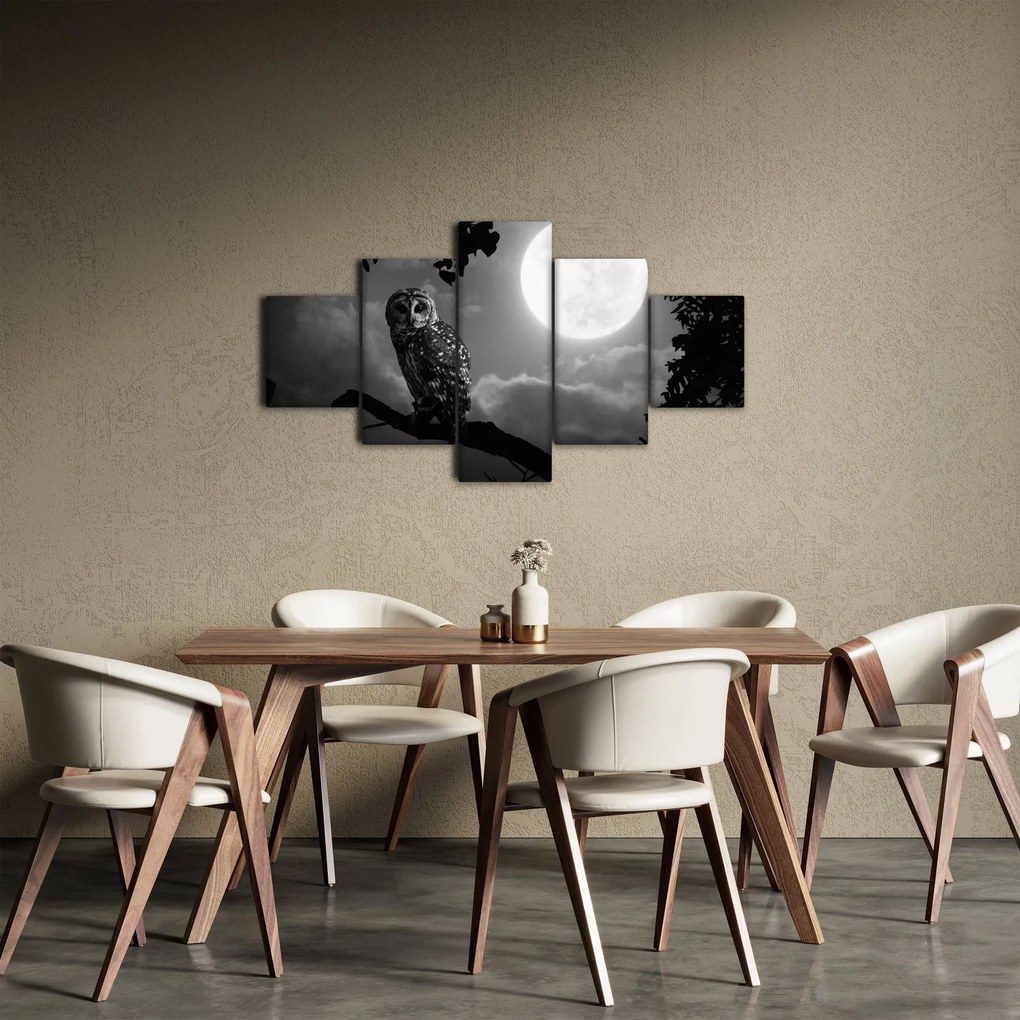 Obraz - Nocna sowa, czarno-biały (125x70 cm)