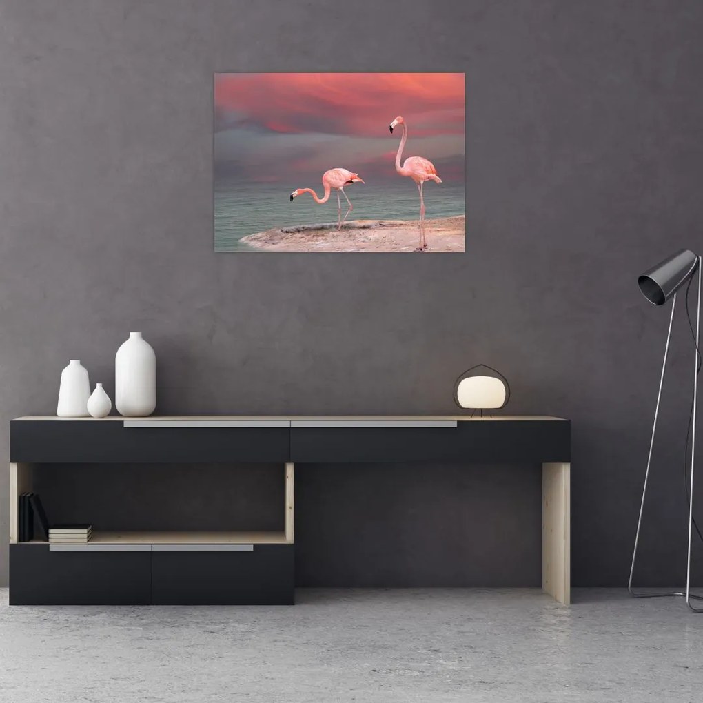 Obraz na szkle flamingów (70x50 cm)