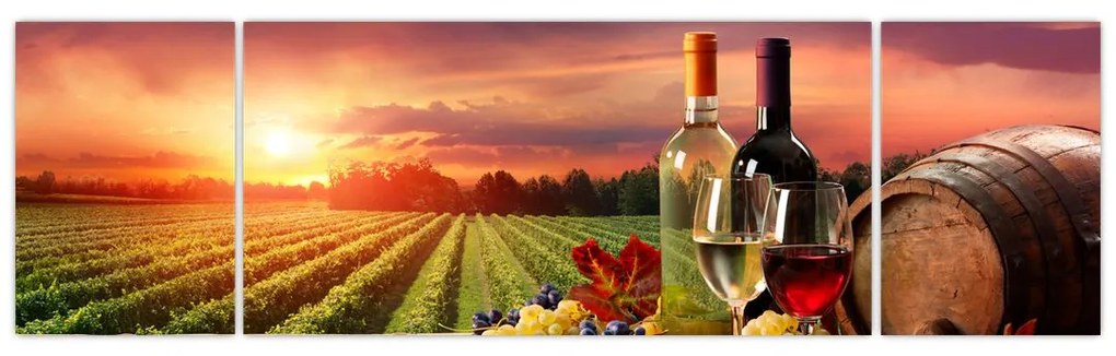 Obraz winnicy z winem (170x50 cm)