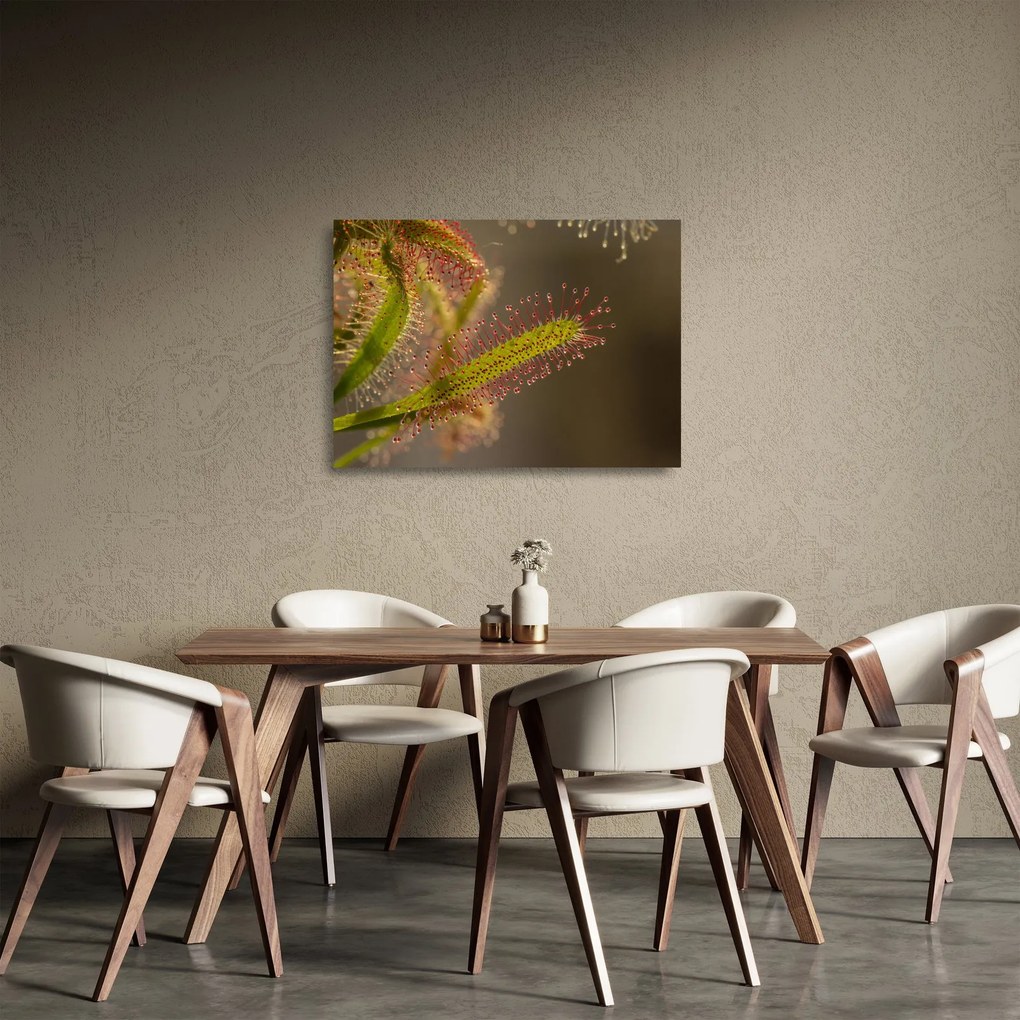 Obraz na szkle - roślina (70x50 cm)