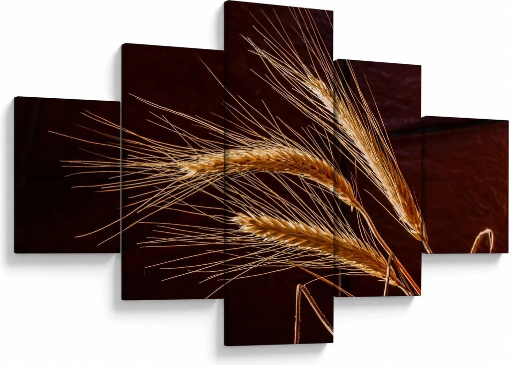 Obraz - Fragment kłosa żyta (125x70 cm)
