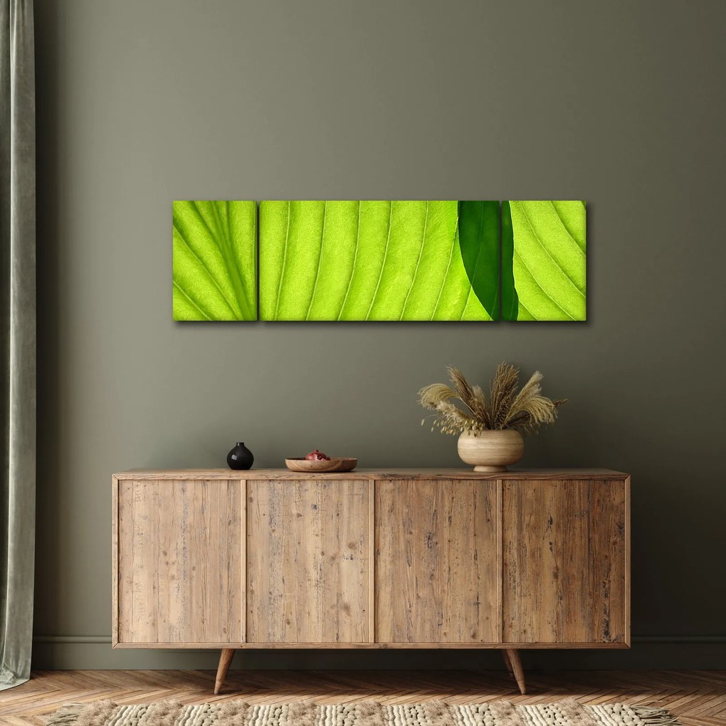 Obraz - Szczegół zielonego liścia (170x50 cm)