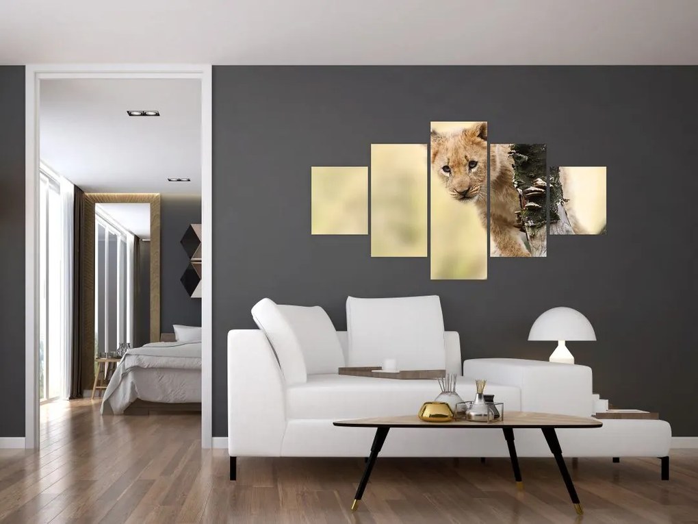 Obraz lwiątka (125x70 cm)