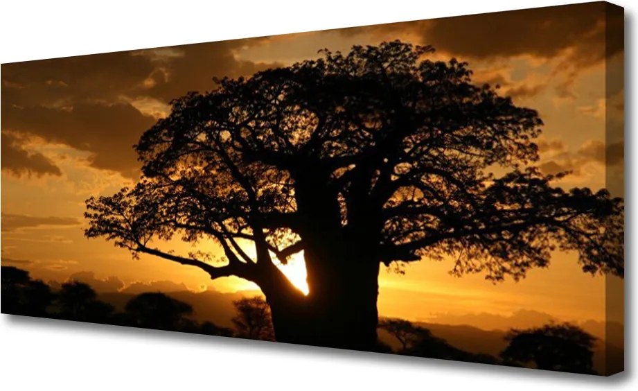 Obraz na płótnie Stary Dąb w Polu