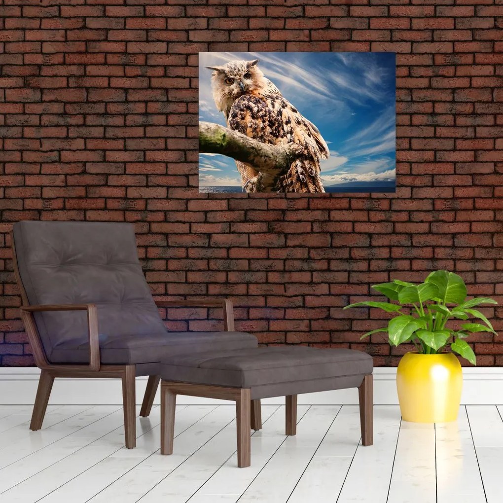 Obraz na szkle - Sowa (70x50 cm)