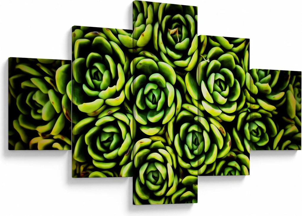 Obraz bez grzywki (125x70 cm)