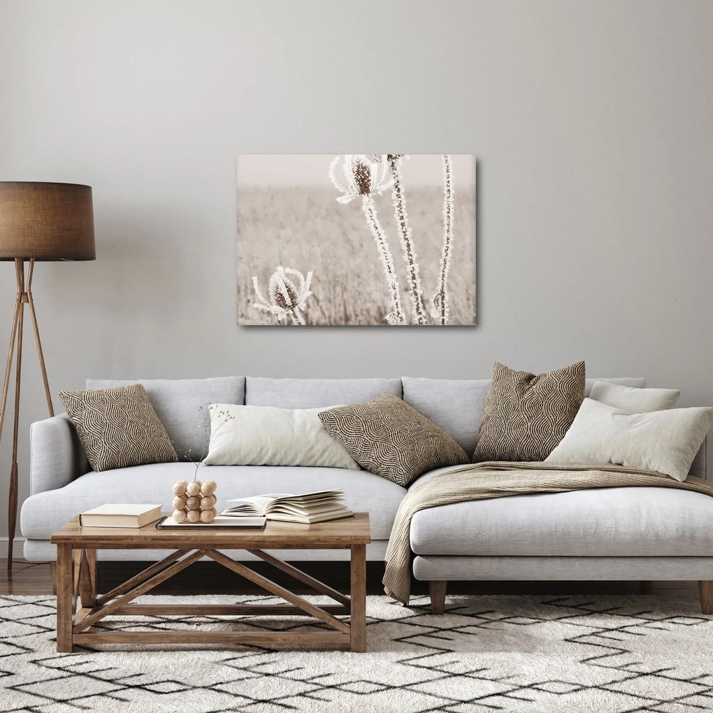 Obraz - Oset w zimie (70x50 cm)