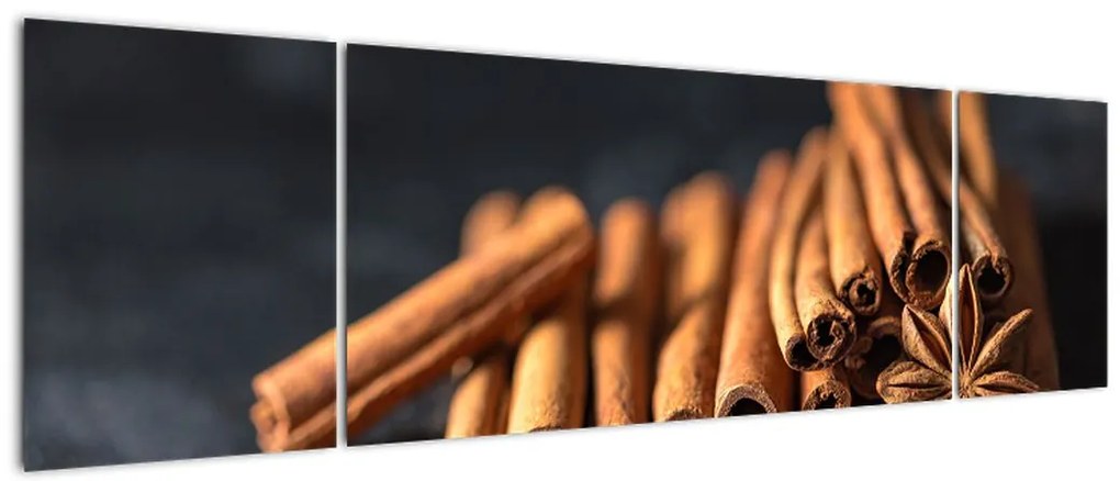 Obraz cynamonu (170x50 cm)
