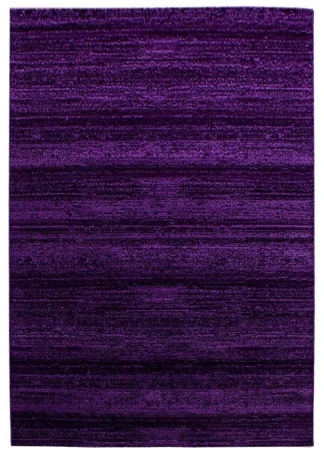 Ciemnofioletowy dywan 120x170 cm Plus – Ayyildiz Carpets