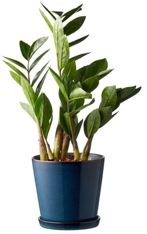 Kamionkowa osłonka na doniczkę ø 14 cm Gastro Dark Blue/Black – Bitz