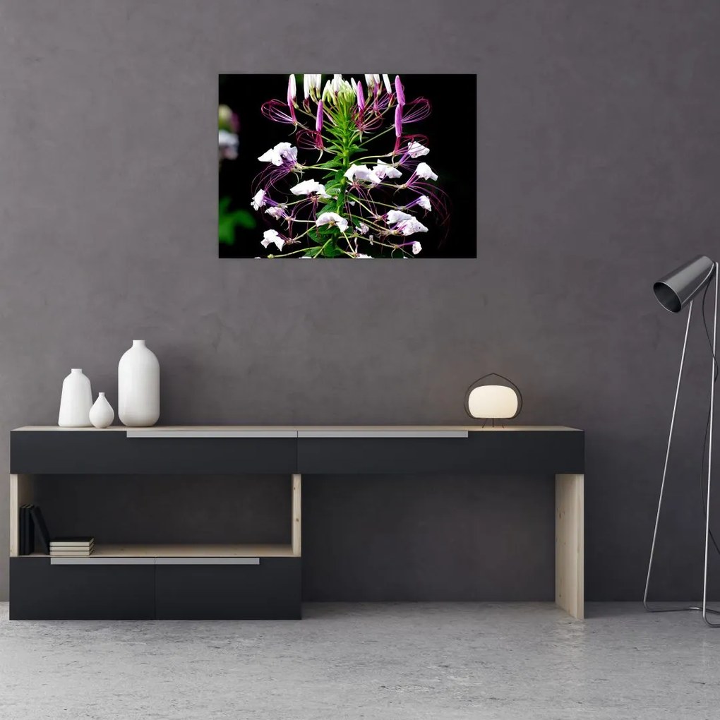 Obraz na szkle kwiatu (70x50 cm)