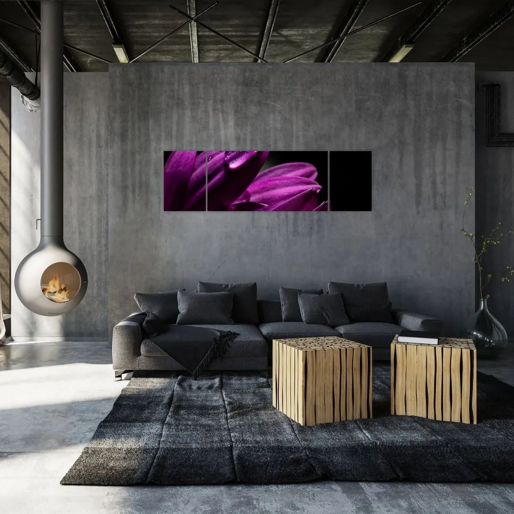 Obraz  - Kropla wody (170x50 cm)