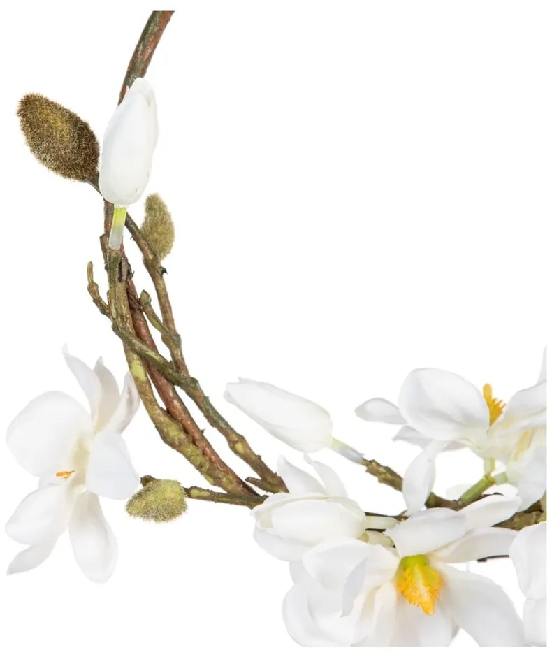 Wieniec Magnolia – Ixia