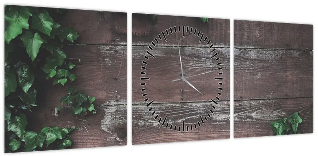Obraz - Bluszcz (z zegarem) (90x30 cm)