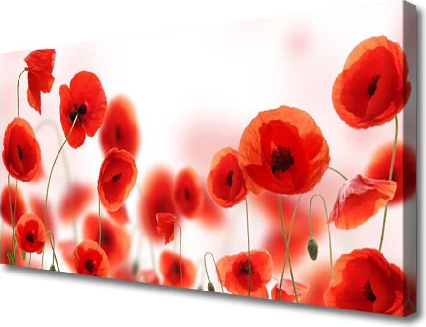 Obraz canvas na ścianę Czerwone Maki w Polu