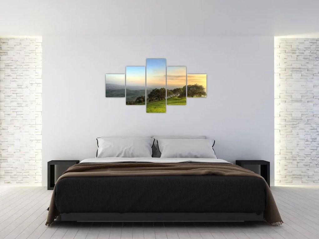 Obraz - Widok ze wzgórza (125x70 cm)