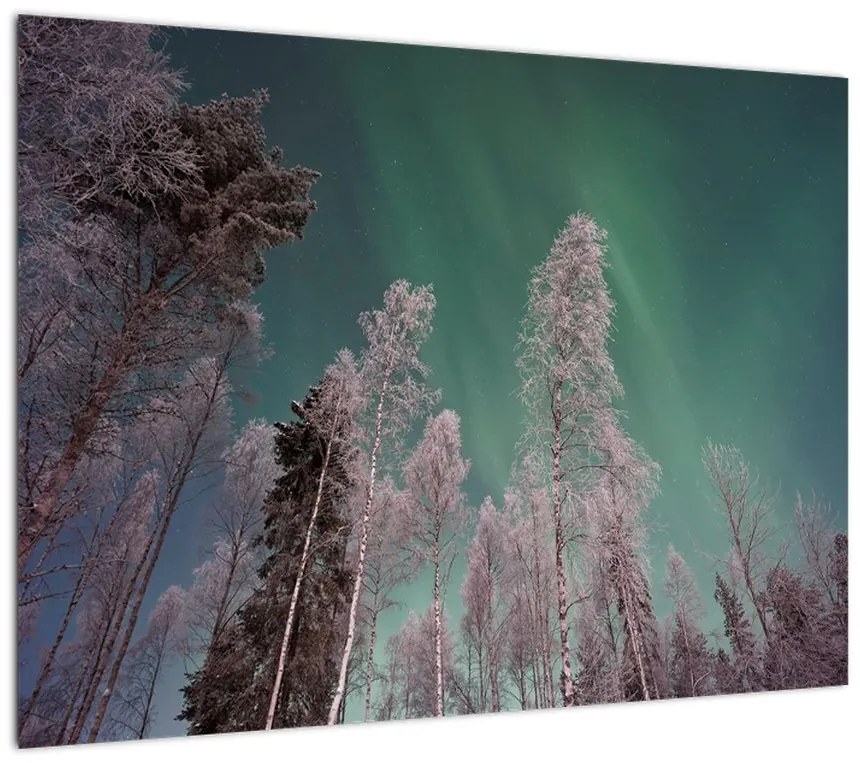 Obraz na szkle zorzy polarnej nad zamarzniętymi drzewami (70x50 cm)