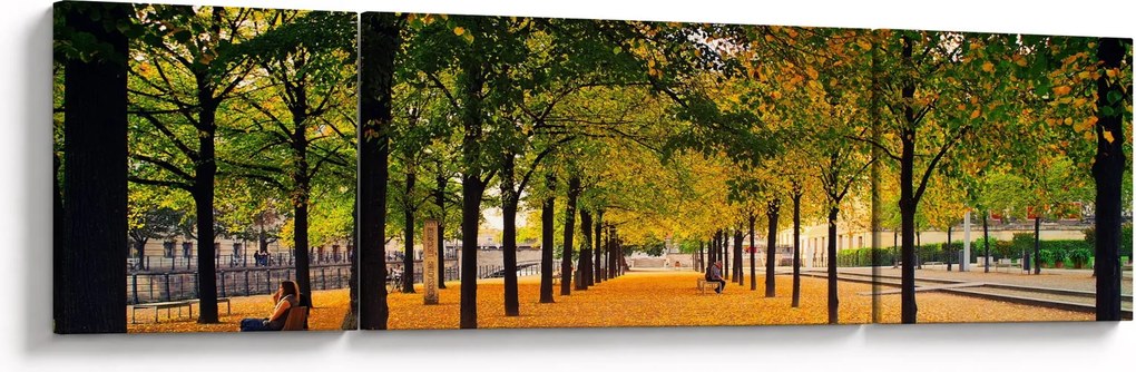 Obraz alei jesiennych drzew (170x50 cm)