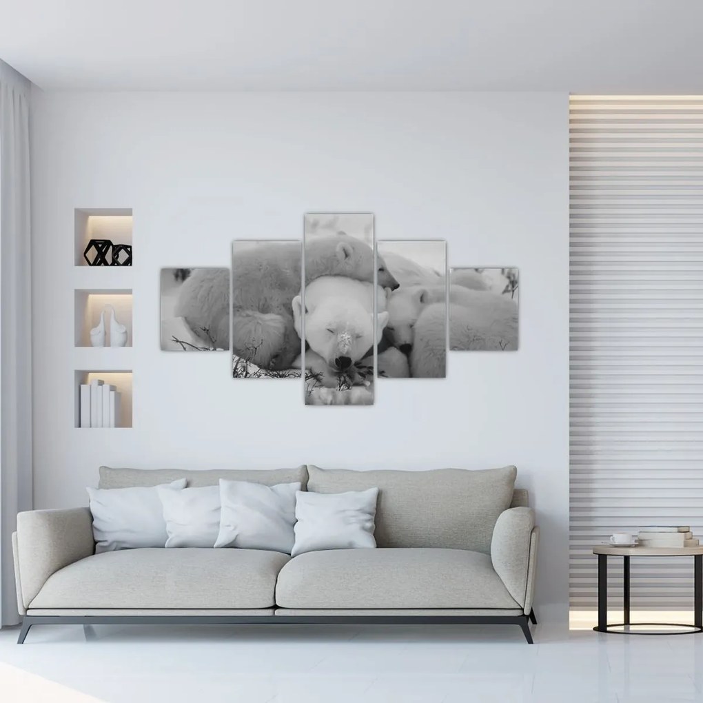 Obraz - Niedźwiadki polarne, czarno - biały (125x70 cm)