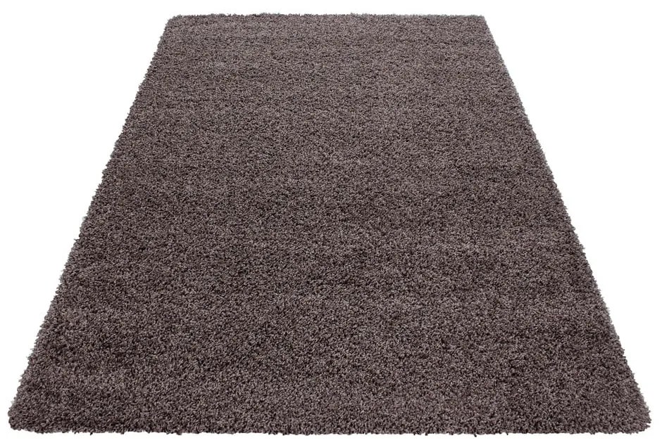 Brązowy dywan 140x200 cm Life – Ayyildiz Carpets