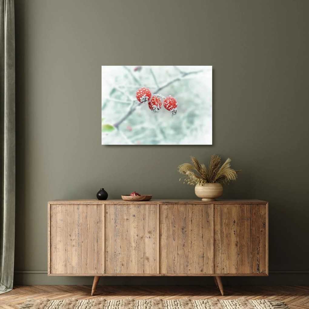 Obraz na szkle - mrożone owoce dzikiej róży (70x50 cm)