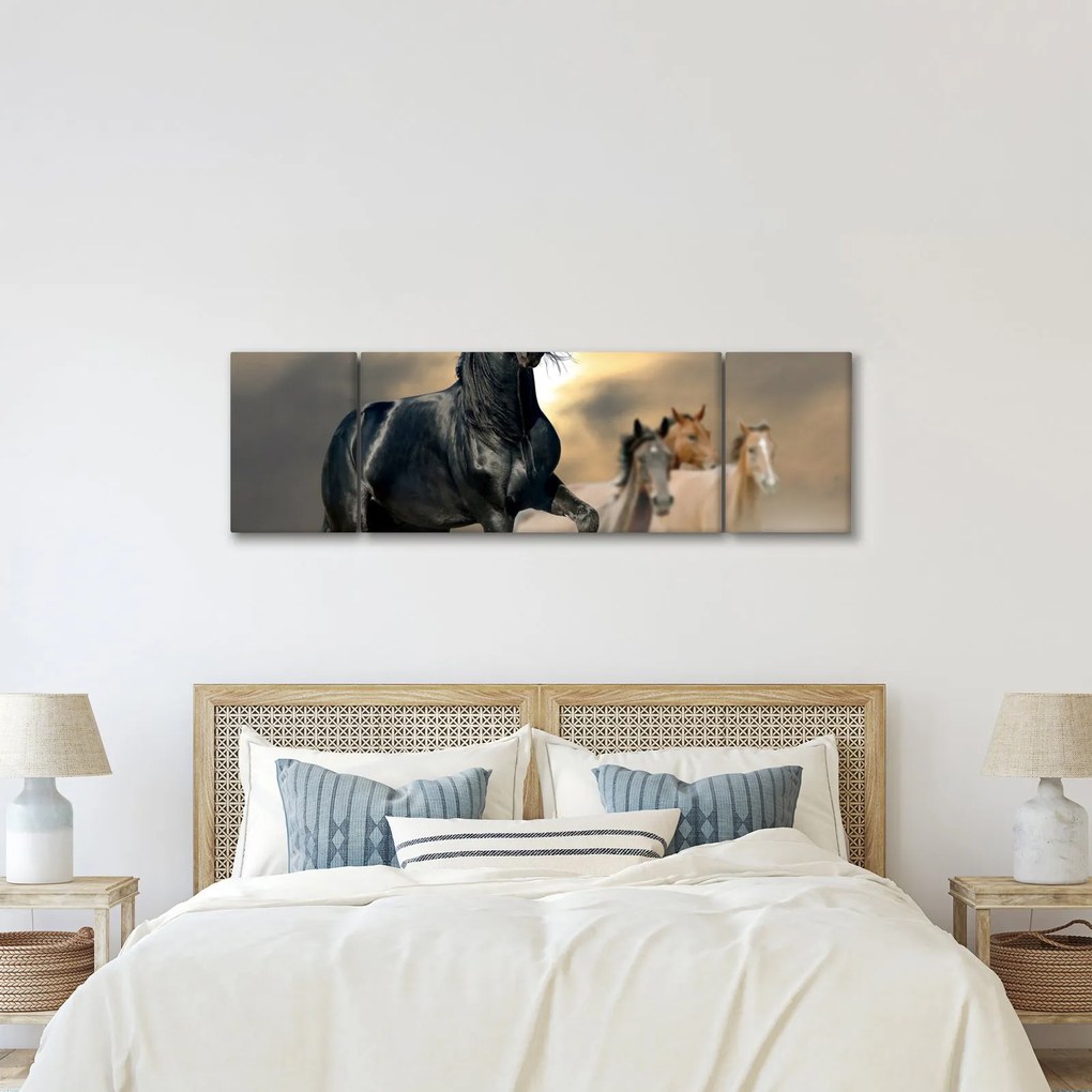Obraz - Konie (170x50 cm)