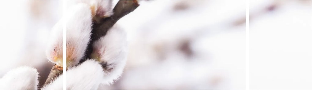 Obraz - Gałąź wierzby płaczącej (170x50 cm)